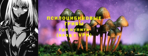 герыч Абаза