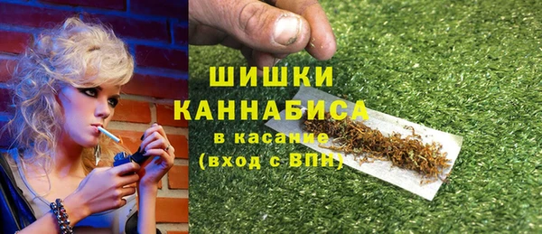 дживик Абинск